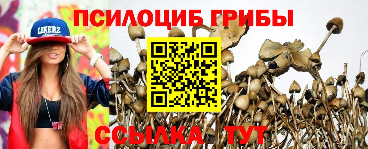 цены   Галлюциногенные грибы Cubensis  Вход с VPN  Когалым 