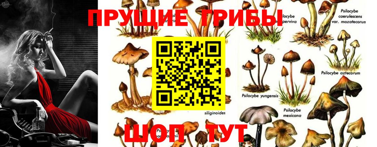 Псилоцибиновые грибы мухоморы Когалым